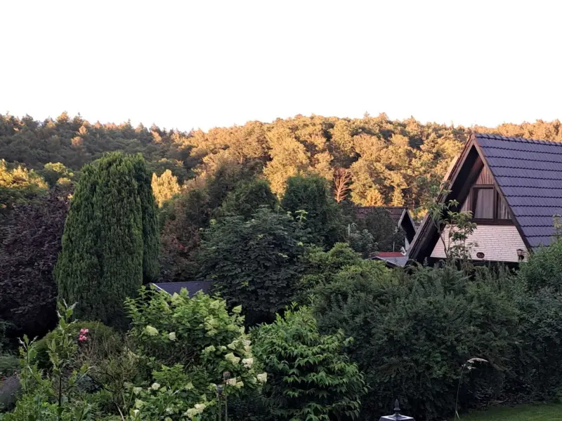 Ferienhaus Bad Wünnenberg