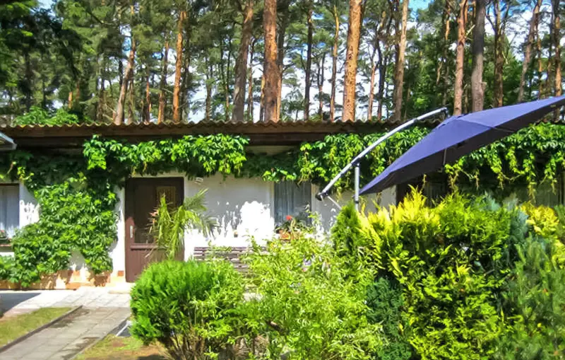 Ferienhaus Vierow