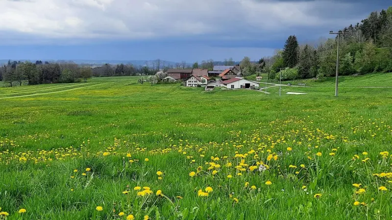 Ferienwohnung Maierhöfen