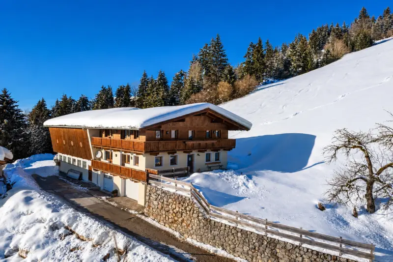 Ferienhaus mit Hund in Hopfgarten im Brixental f&uuml;r max. 11 Personen