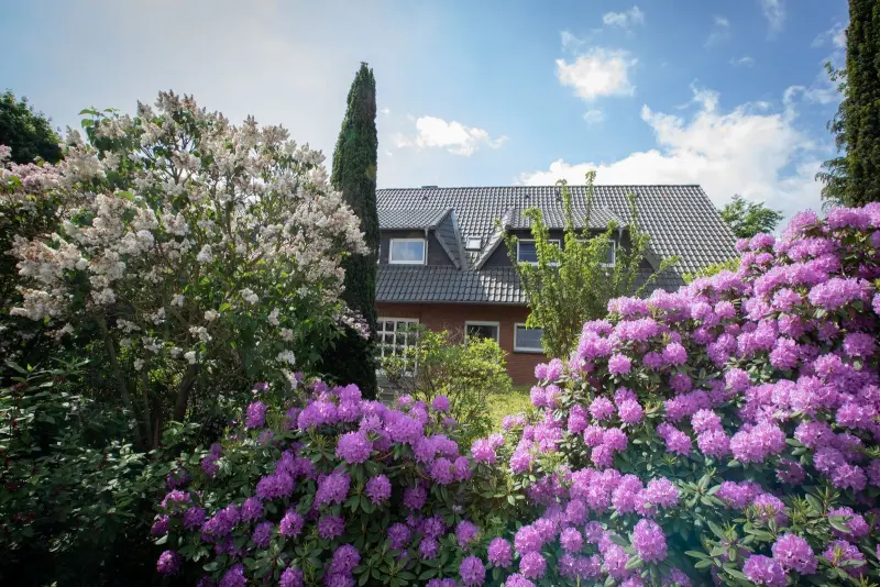 Ferienwohnung Lembruch