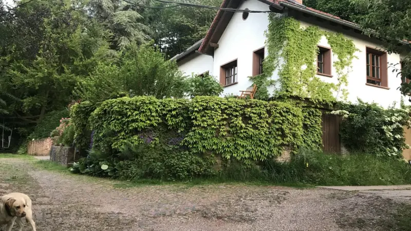 Ferienwohnung  Merzig