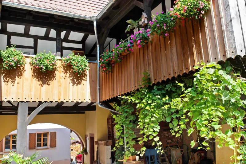 Ferienwohnung Badenweiler