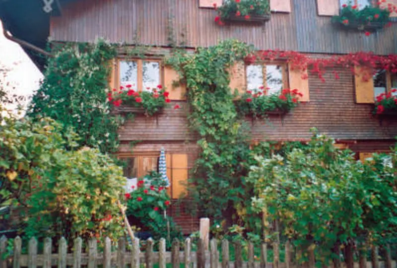 Ferienwohnung Hinterstein