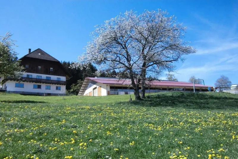 Ferienhaus  Unterkirnach
