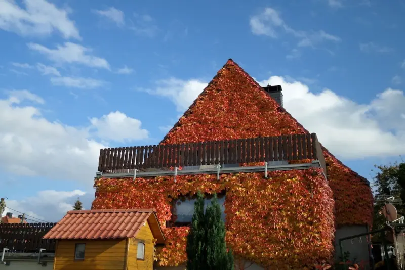 Ferienhaus Hohnstein