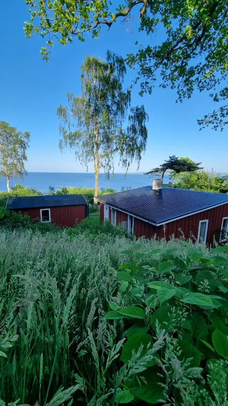 Ferienhaus Hvidbjerg Strand