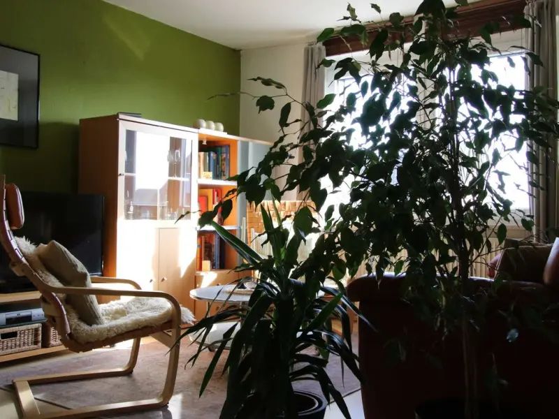 Ferienwohnung  Ziebigk