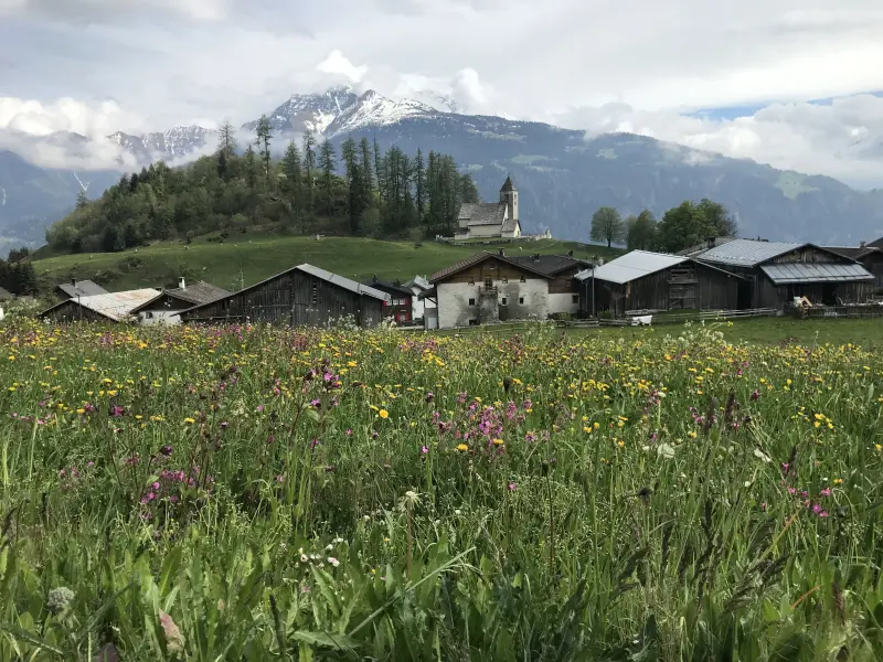 Ferienwohnung Safiental GR