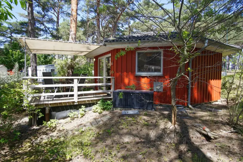 Ferienhaus mit Hund in Göhren, Rügen, Deutschland