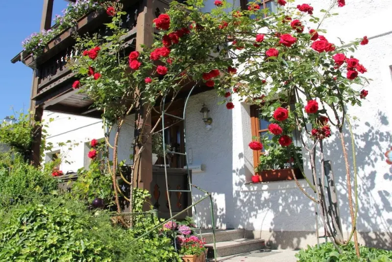 Ferienhaus  Attersee