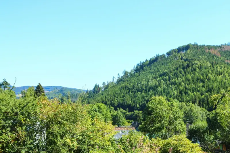 Ferienwohnung Bad Laasphe