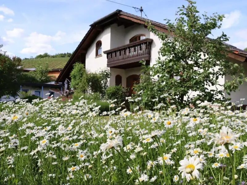 Ferienwohnung  Gensingen