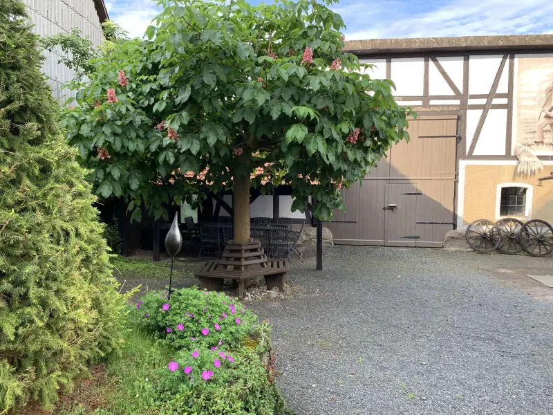 Ferienhaus Asbach-Sickenberg