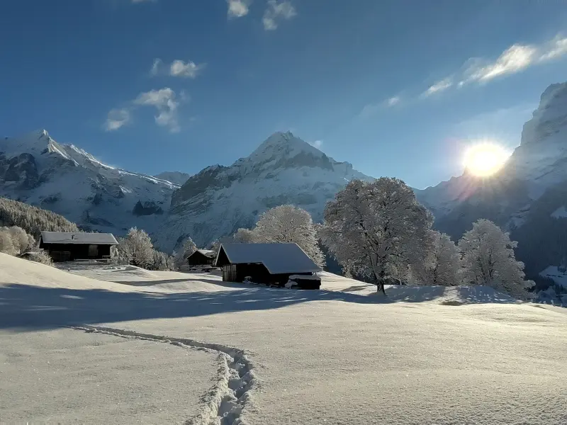 Ferienhaus Grindelwald
