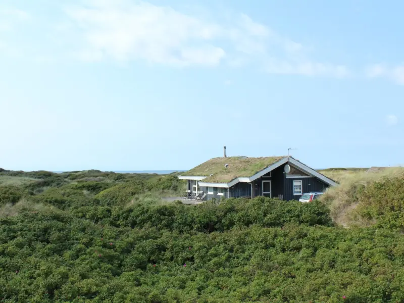 House  Grønhøj