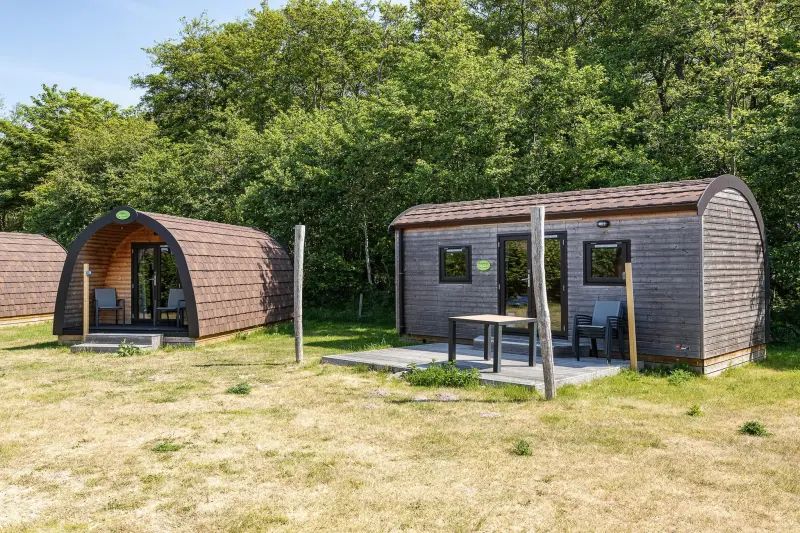 Ferienhaus mit Hund in Burgh-Haamstede fuer max. 4 Personen