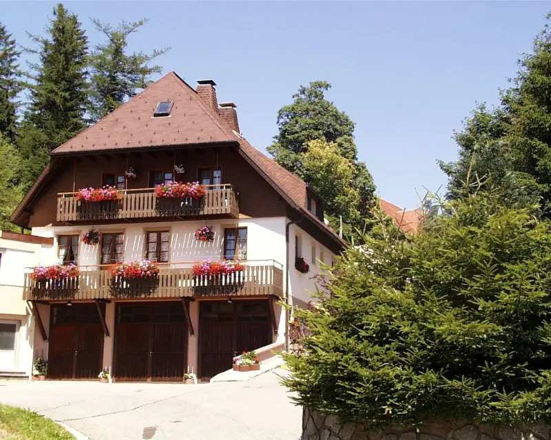 Ferienwohnung Todtnauberg