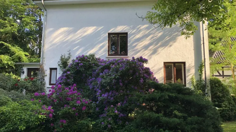 Ferienhaus Hodenhagen