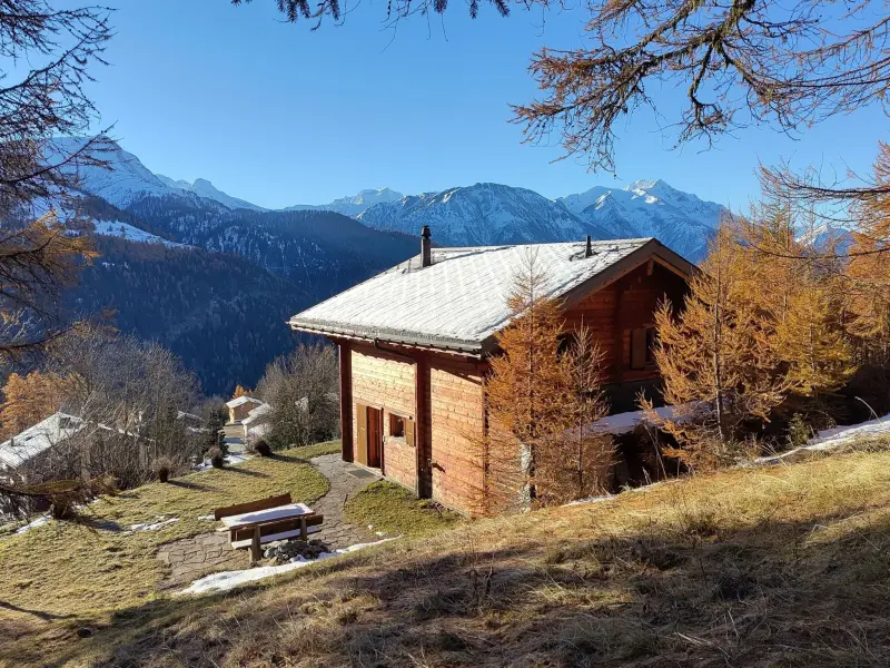 Ferienhaus mit Hund in Bellwald, Blitzingen für max. 4 Personen Ferienhaus mit Hund in Bellwald, Blitzingen für max. 4 Personen