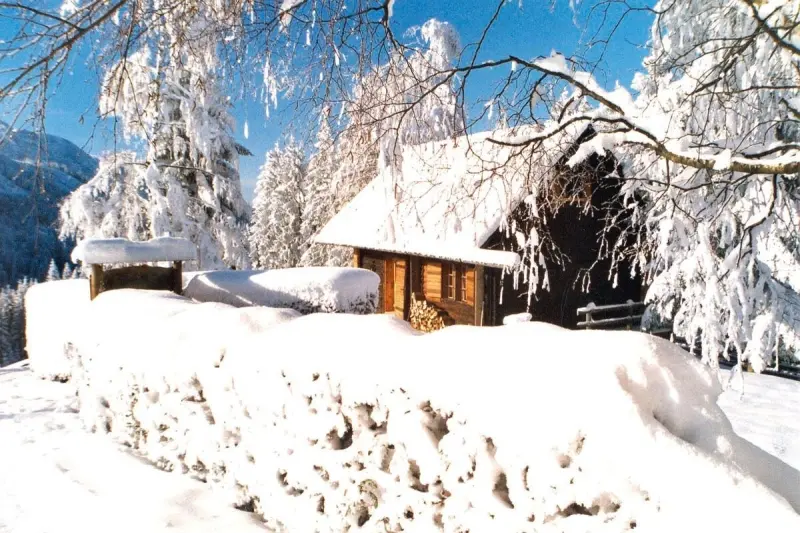 Ferienhaus in Altmünster am Traunsee f&uuml;r max. 4 Personen