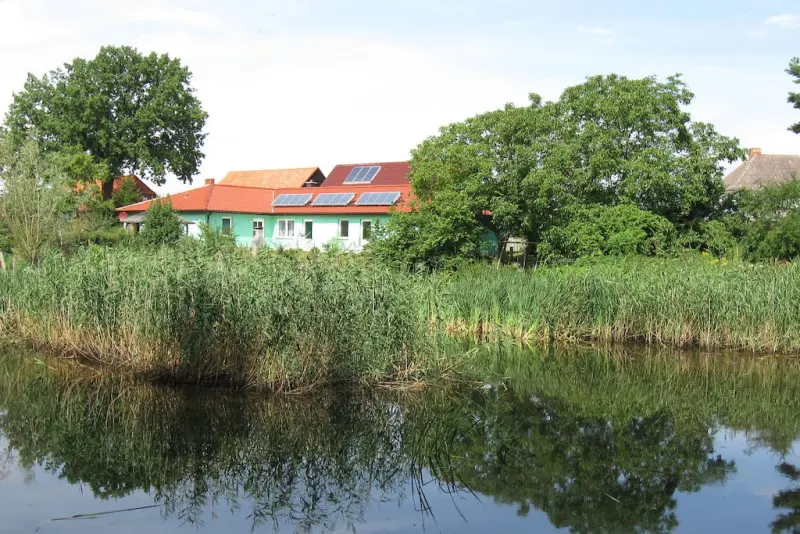 Ferienhaus mit Hund in Priborn, Mecklenburgische Seenplatte, Deutschland
