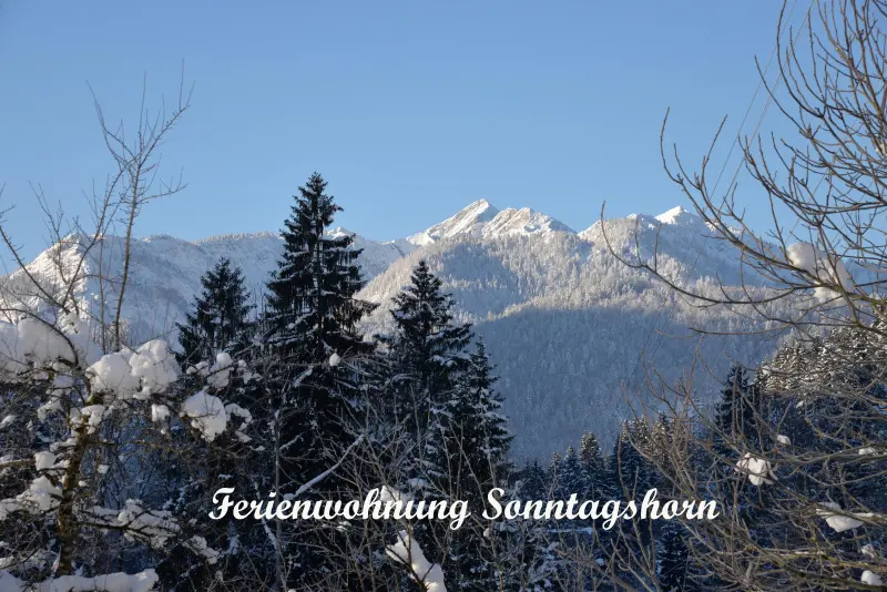 Ferienwohnung Thumsee