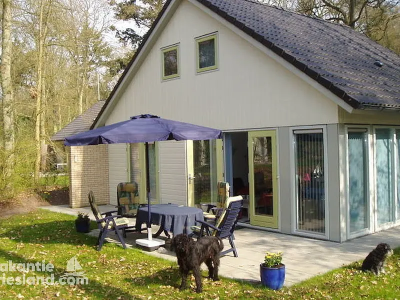 Ferienhaus mit Hund in Oudemirdum, Ijsselmeer, Holland