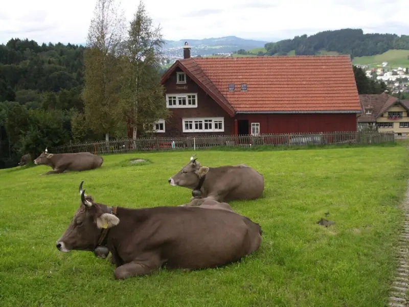 Ferienhaus Appenzell