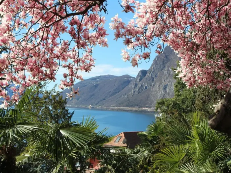 Ferienwohnung Aldesago