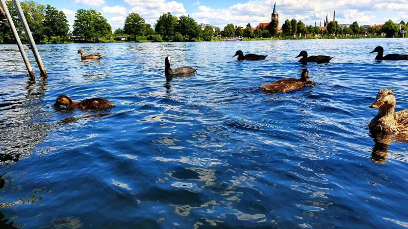Ferienwohnung Werder (Havel)