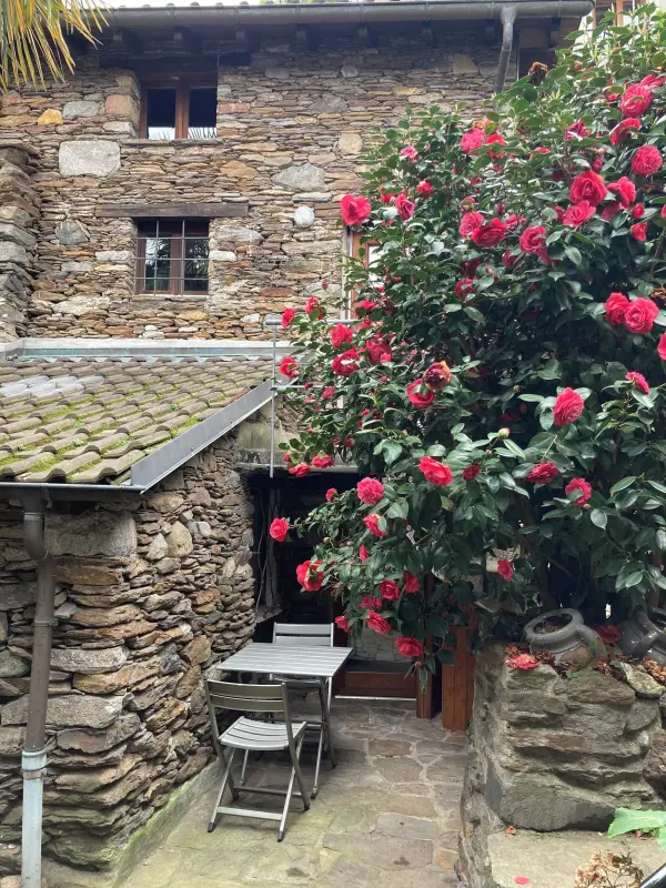 Ferienhaus Brissago TI