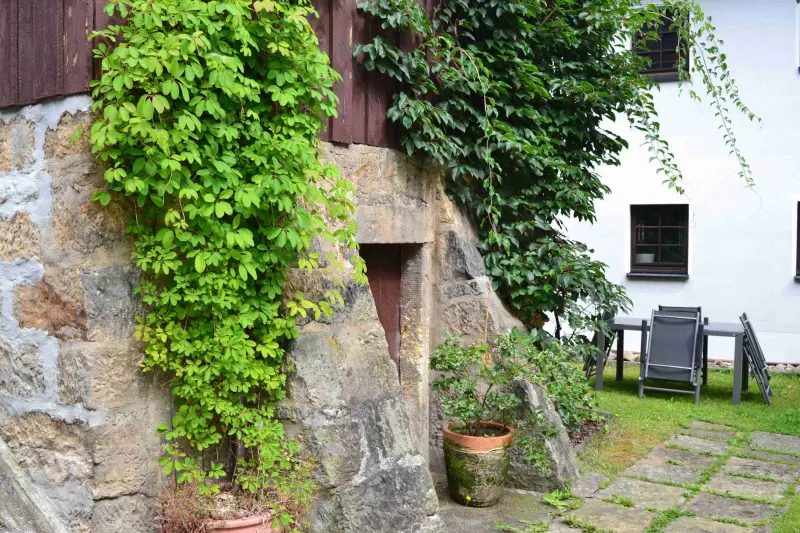 Ferienwohnung Königstein