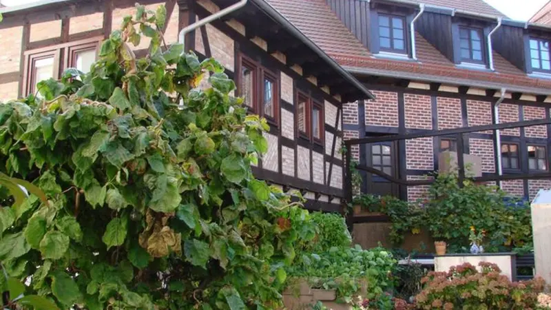 Ferienwohnung  Wolgast