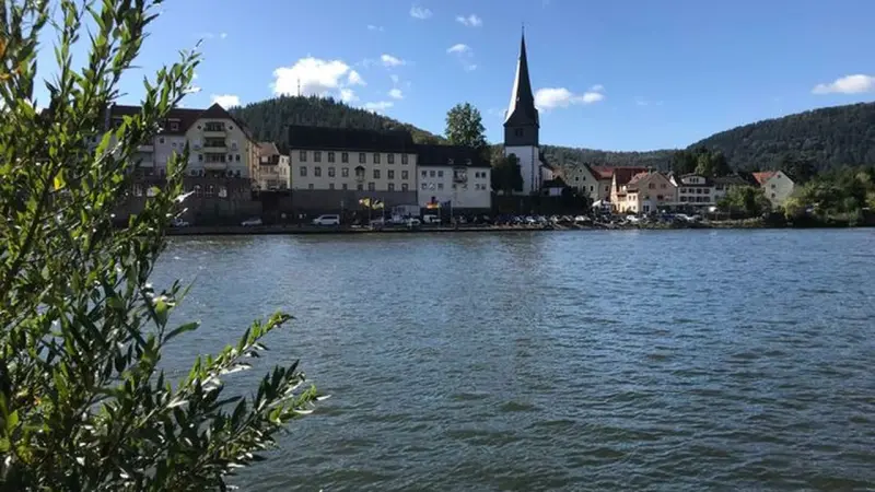 Ferienwohnung Neckargemünd