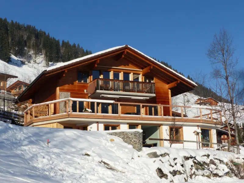 Ferienwohnung Lenk