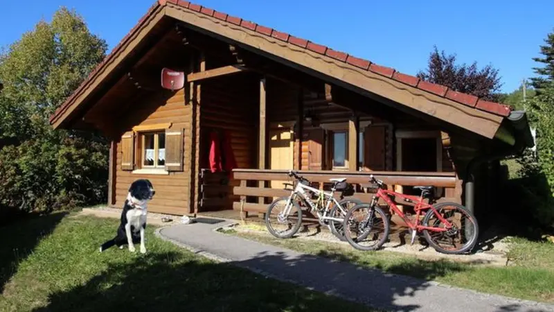 Ferienhaus mit Hund in Stamsried für max. 4 Personen Ferienhaus mit Hund in Stamsried für max. 4 Personen