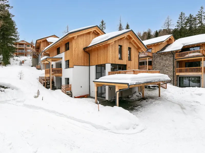 Ferienhaus Murau