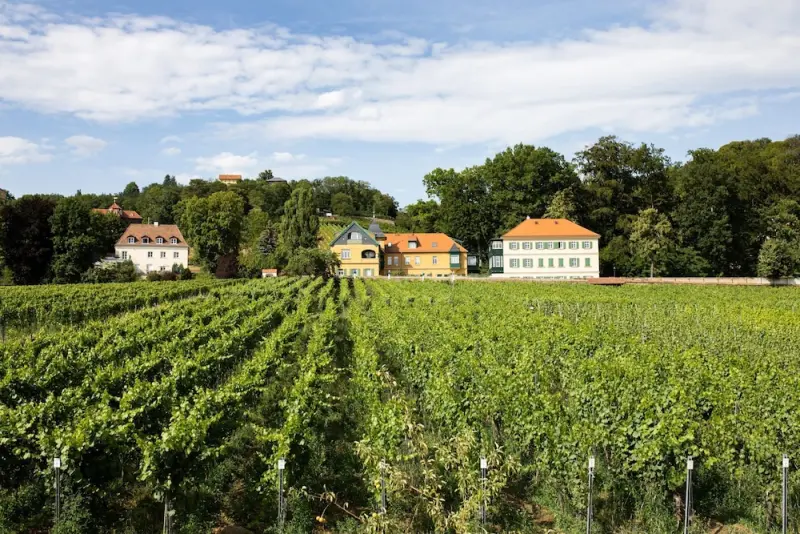 Ferienwohnung  Radebeul