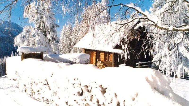 Ferienhaus  Traunsee