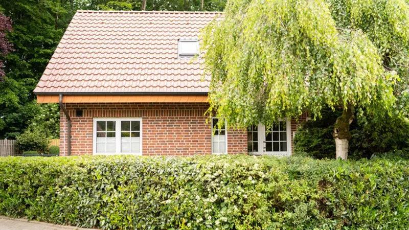 Ferienhaus  Sögel