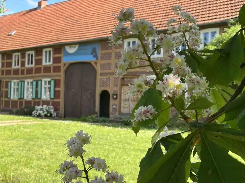 Ferienhaus Bad Wilsnack
