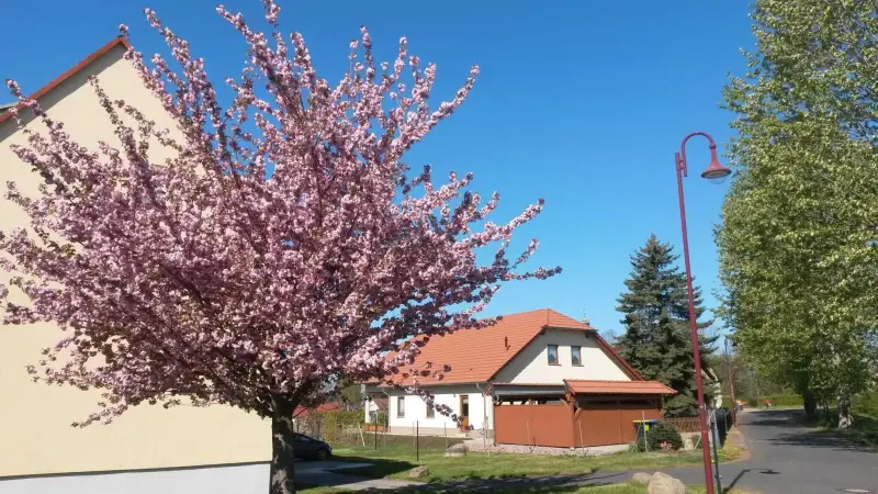 Ferienwohnung Südost