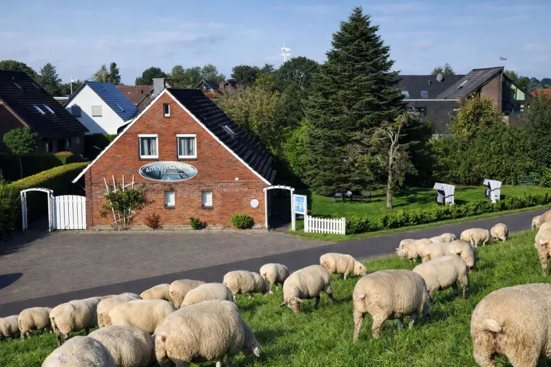 Ferienwohnung  Horumersiel