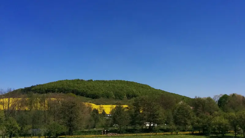 Ferienwohnung Uder