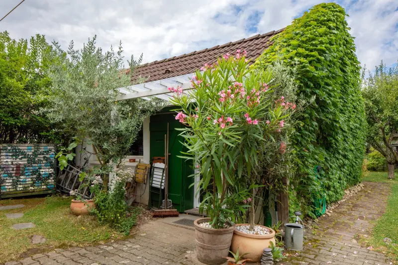 Ferienwohnung Rieselfeld