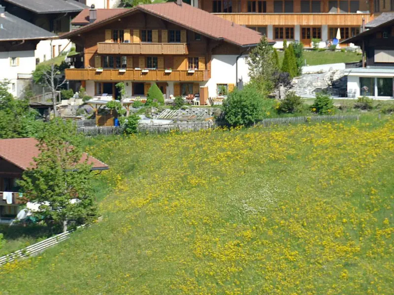 Apartment  Adelboden