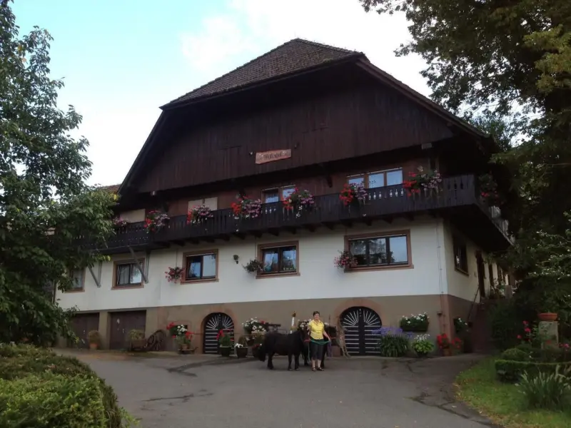 Ferienwohnung  Zell am Harmersbach