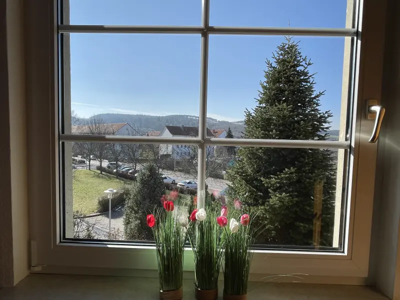 Ferienwohnung Arnstadt