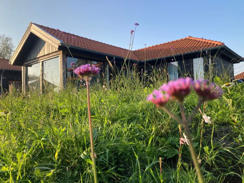 Ferienhaus in Anjum, Lauwersmeer f&uuml;r max. 4 Personen